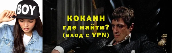 ешки Бородино