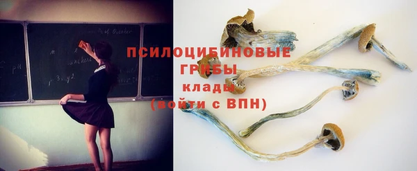 амф Верхний Тагил