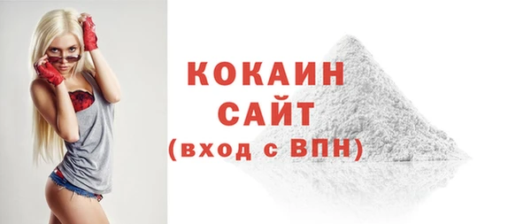 амф Верхний Тагил
