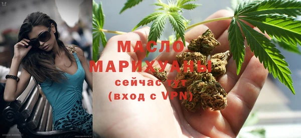 амф Верхний Тагил
