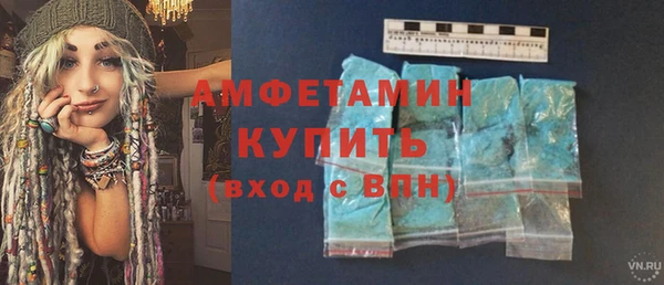 амф Верхний Тагил