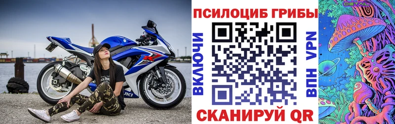 Галлюциногенные грибы Cubensis Дорогобуж